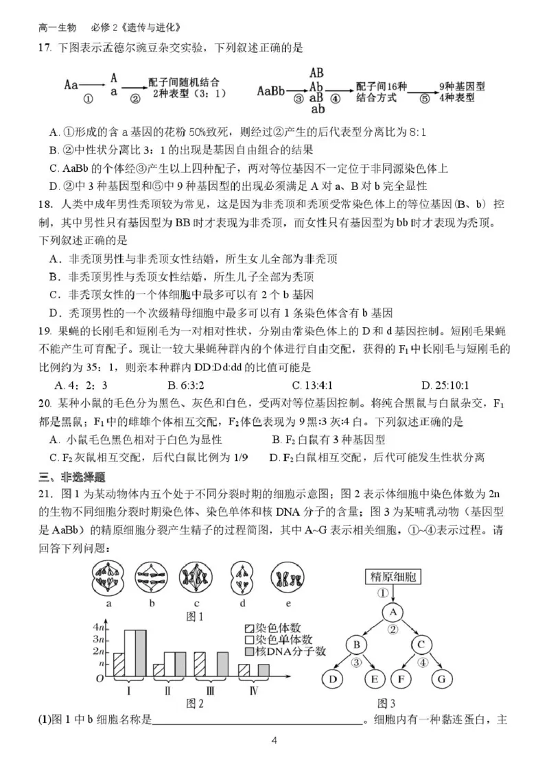 高一生物月考试题(2025.3)(1)_2025年04月试卷_0408山东省德州市夏津第一中学2024-2025学年高一下学期第一次月考