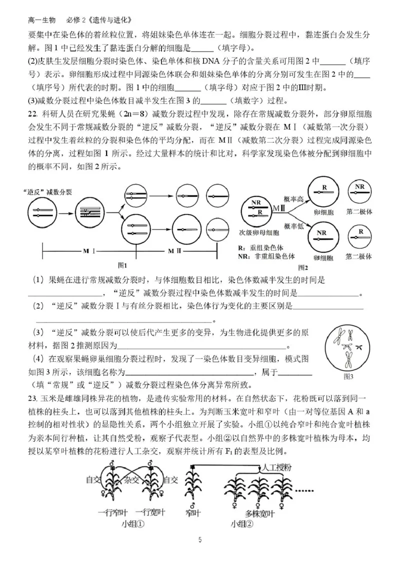 高一生物月考试题(2025.3)(1)_2025年04月试卷_0408山东省德州市夏津第一中学2024-2025学年高一下学期第一次月考