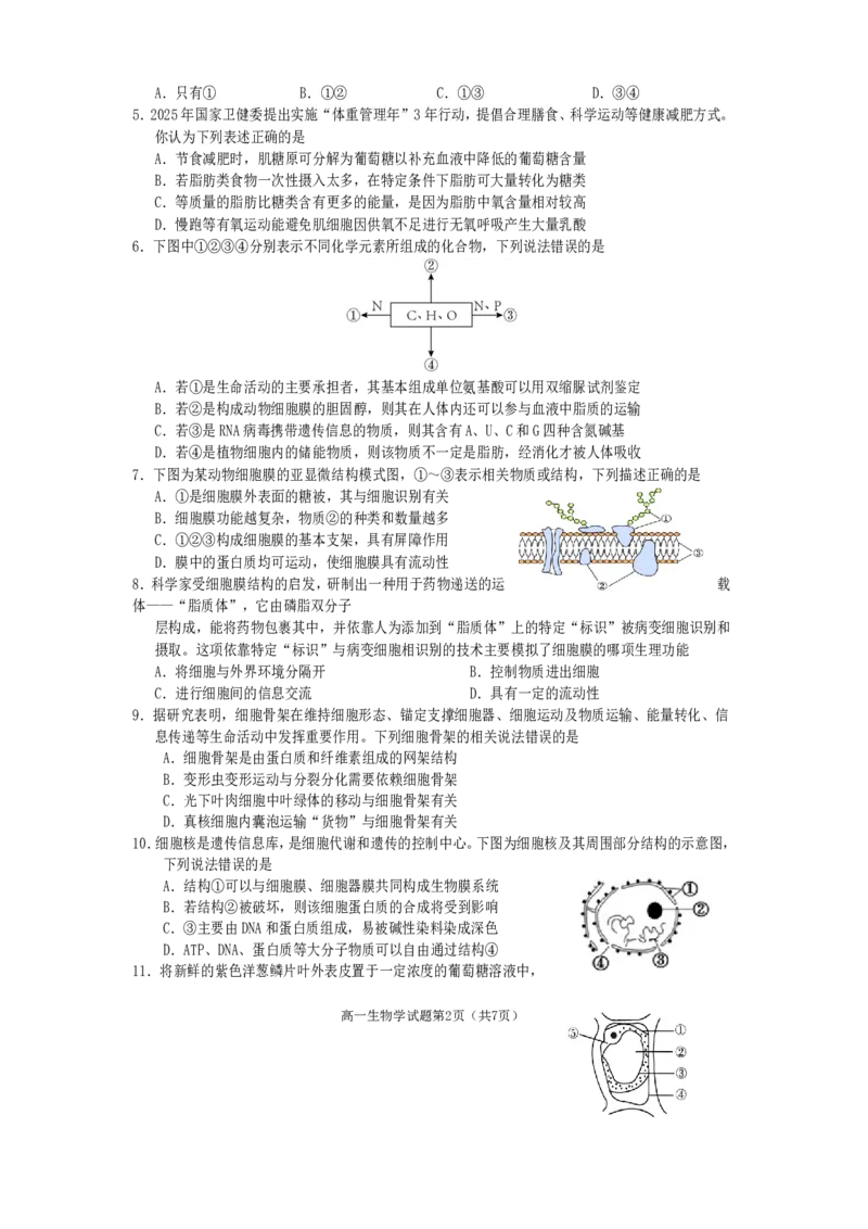 高一生物2025_2026年02月高一试卷_260210四川省遂宁市2025&mdash;2026学年高一上学期期末考试_四川省遂宁市2025-2026学年高一上学期期末考试生物试题（含答案）