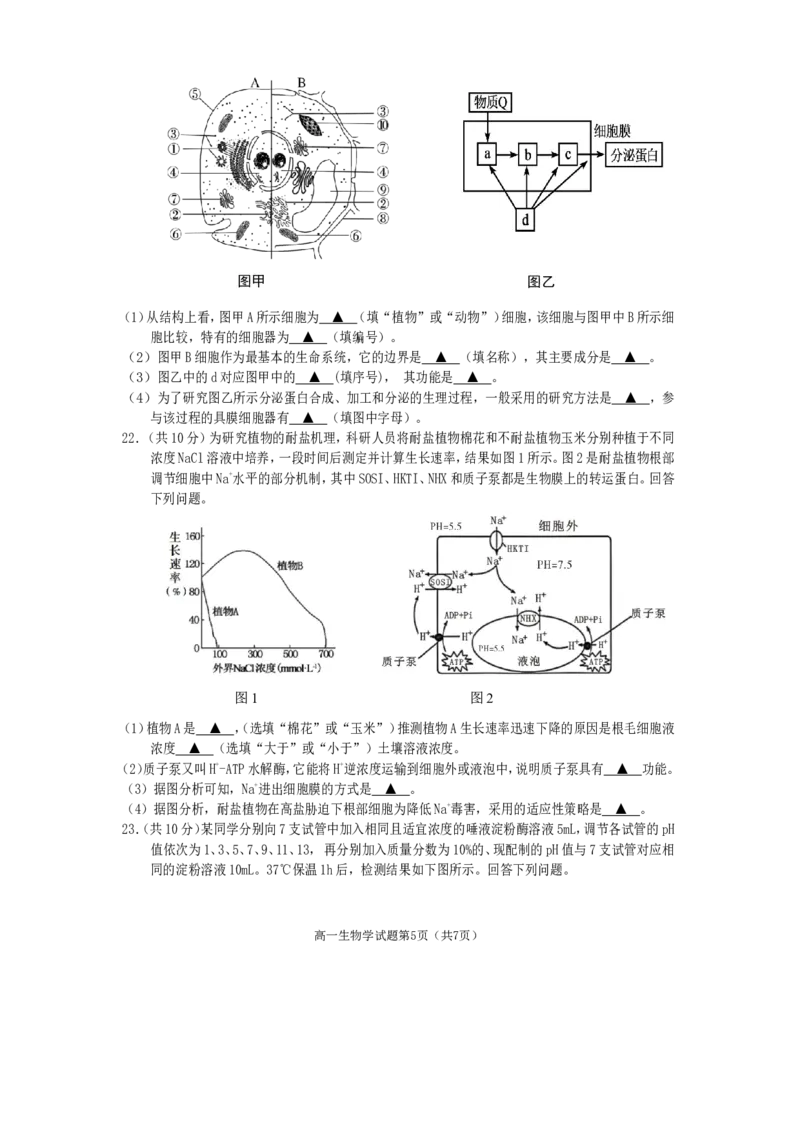 高一生物2025_2026年02月高一试卷_260210四川省遂宁市2025&mdash;2026学年高一上学期期末考试_四川省遂宁市2025-2026学年高一上学期期末考试生物试题（含答案）