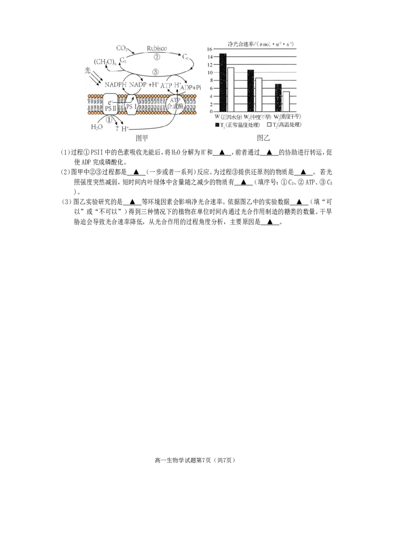 高一生物2025_2026年02月高一试卷_260210四川省遂宁市2025&mdash;2026学年高一上学期期末考试_四川省遂宁市2025-2026学年高一上学期期末考试生物试题（含答案）