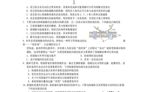 高一生物2025_2026年02月高一试卷_260210四川省遂宁市2025&mdash;2026学年高一上学期期末考试_四川省遂宁市2025-2026学年高一上学期期末考试生物试题（含答案）