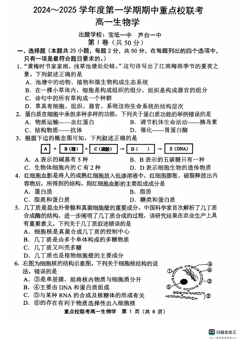 高一生物学_2024年11月试卷_1119天津市五区县重点校联考2024-2025学年高一上学期11月期中考试_天津市五区县重点校联考2024-2025学年高一上学期11月期中生物试题_高一生物