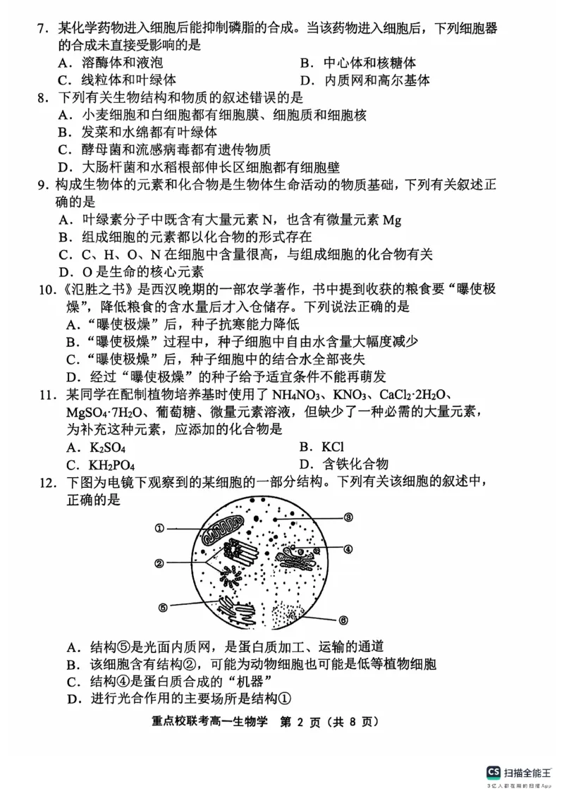 高一生物学_2024年11月试卷_1119天津市五区县重点校联考2024-2025学年高一上学期11月期中考试_天津市五区县重点校联考2024-2025学年高一上学期11月期中生物试题_高一生物