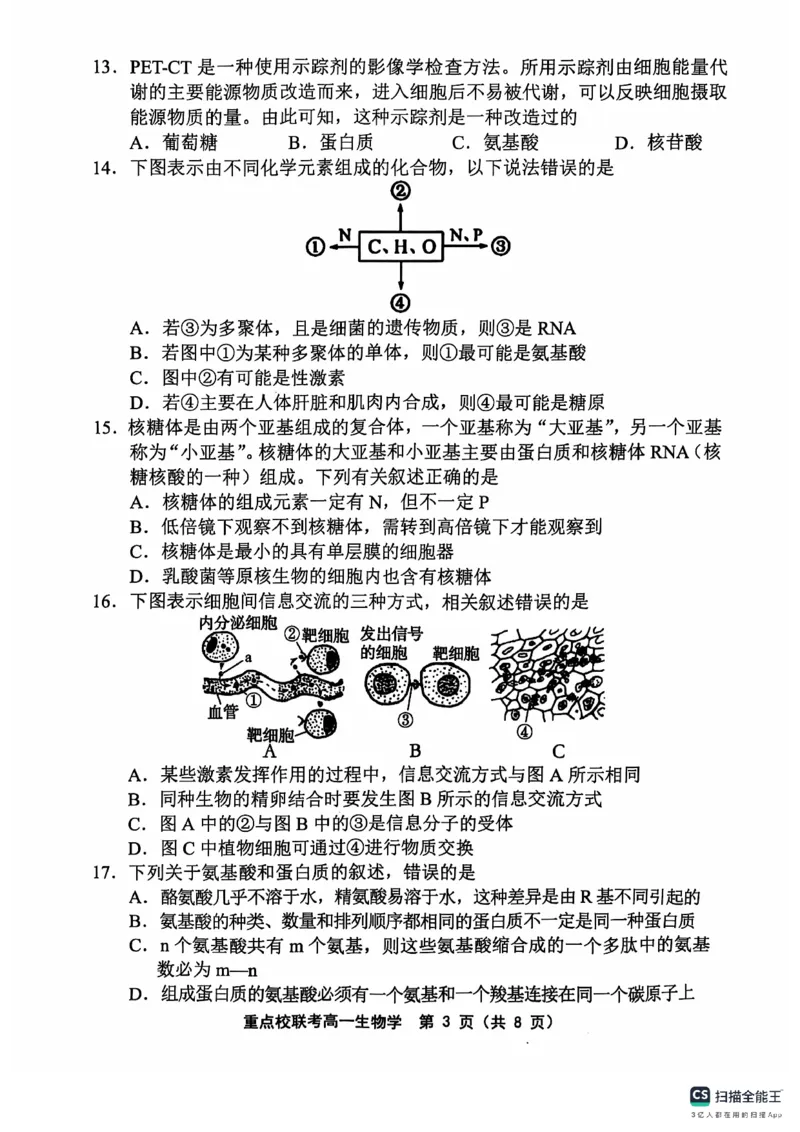 高一生物学_2024年11月试卷_1119天津市五区县重点校联考2024-2025学年高一上学期11月期中考试_天津市五区县重点校联考2024-2025学年高一上学期11月期中生物试题_高一生物