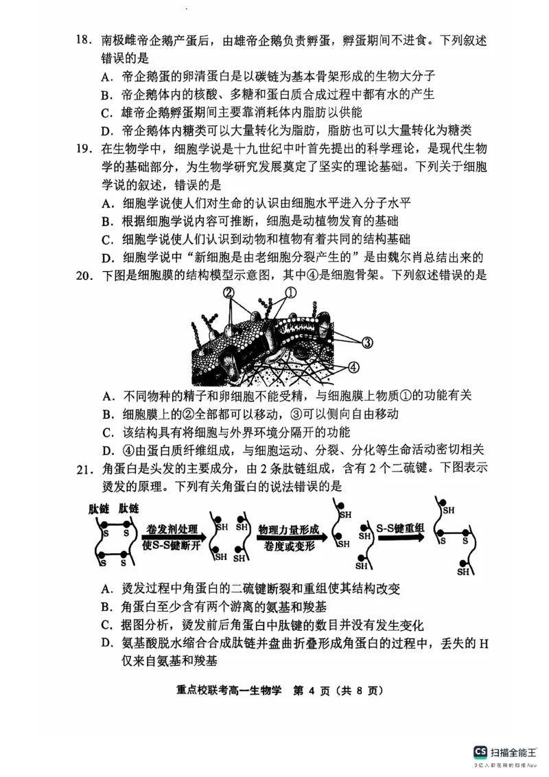 高一生物学_2024年11月试卷_1119天津市五区县重点校联考2024-2025学年高一上学期11月期中考试_天津市五区县重点校联考2024-2025学年高一上学期11月期中生物试题_高一生物