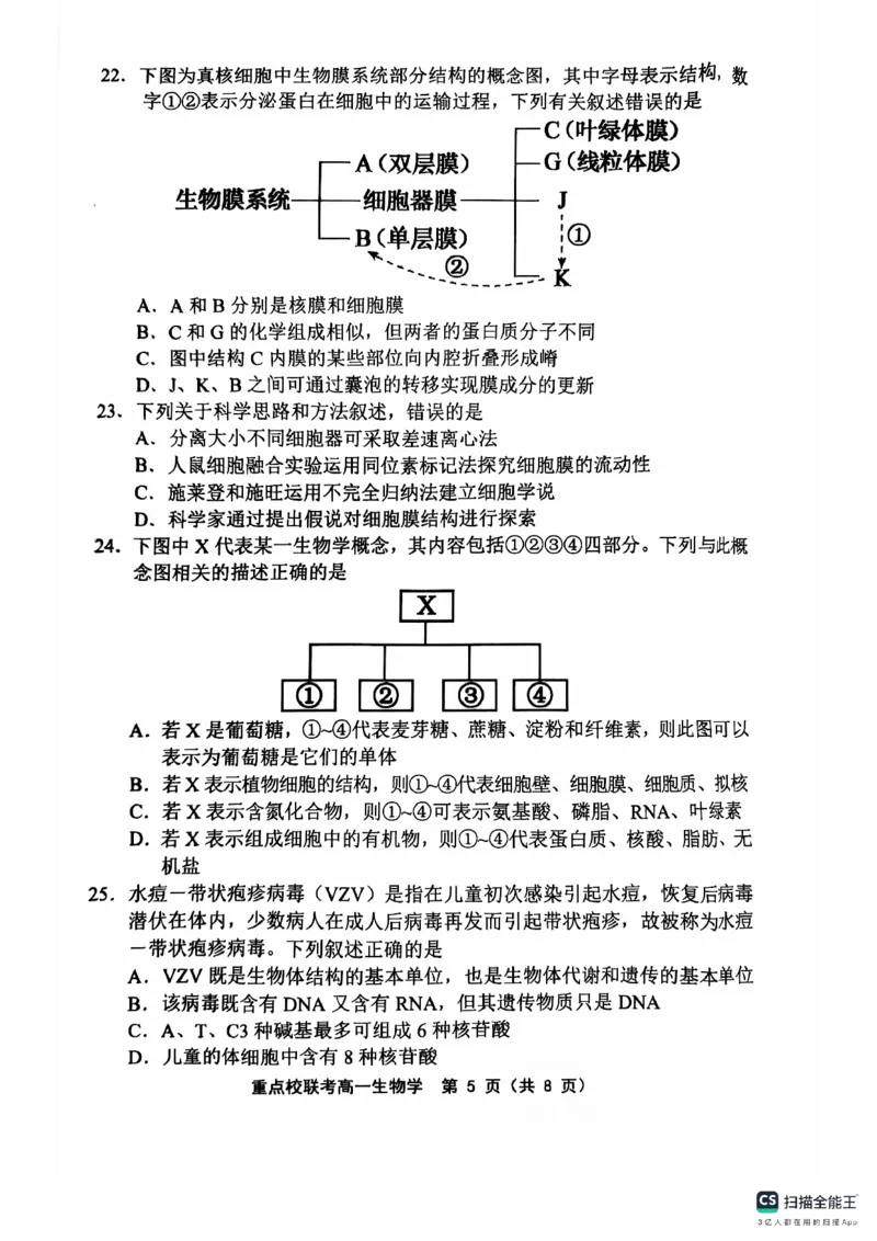 高一生物学_2024年11月试卷_1119天津市五区县重点校联考2024-2025学年高一上学期11月期中考试_天津市五区县重点校联考2024-2025学年高一上学期11月期中生物试题_高一生物