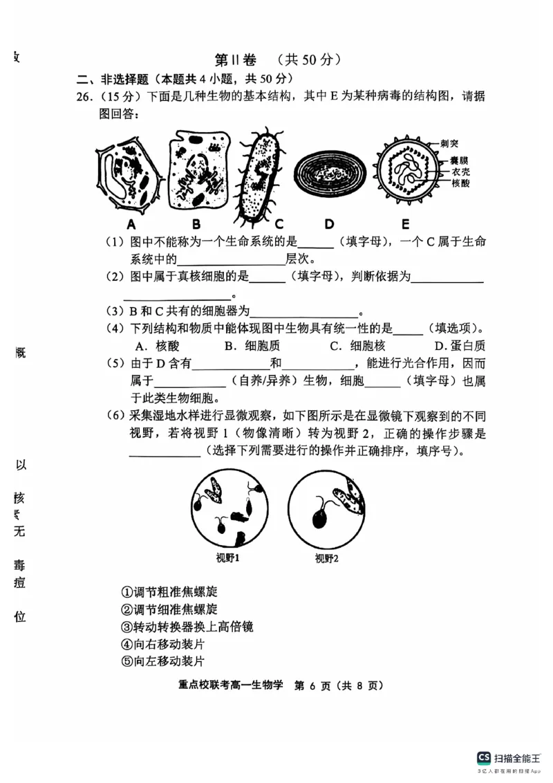 高一生物学_2024年11月试卷_1119天津市五区县重点校联考2024-2025学年高一上学期11月期中考试_天津市五区县重点校联考2024-2025学年高一上学期11月期中生物试题_高一生物