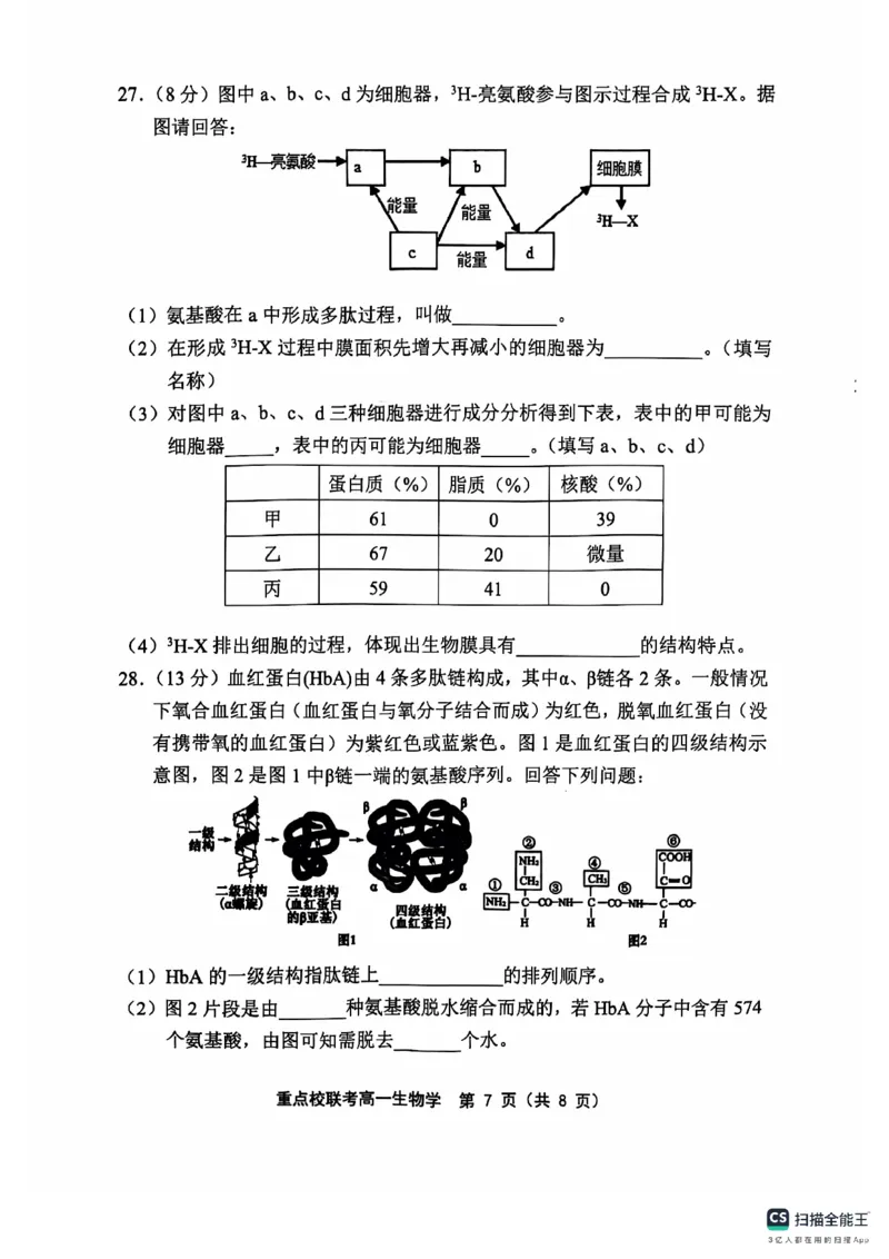 高一生物学_2024年11月试卷_1119天津市五区县重点校联考2024-2025学年高一上学期11月期中考试_天津市五区县重点校联考2024-2025学年高一上学期11月期中生物试题_高一生物