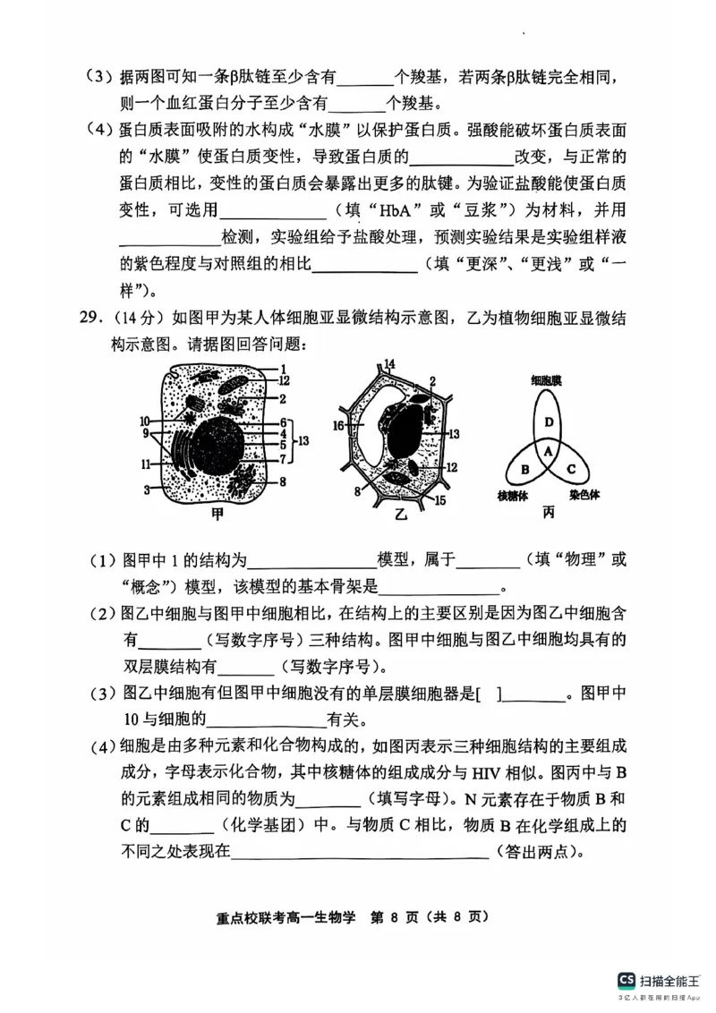 高一生物学_2024年11月试卷_1119天津市五区县重点校联考2024-2025学年高一上学期11月期中考试_天津市五区县重点校联考2024-2025学年高一上学期11月期中生物试题_高一生物