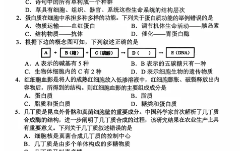 高一生物学_2024年11月试卷_1119天津市五区县重点校联考2024-2025学年高一上学期11月期中考试_天津市五区县重点校联考2024-2025学年高一上学期11月期中生物试题_高一生物