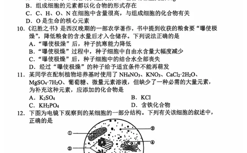 高一生物学_2024年11月试卷_1119天津市五区县重点校联考2024-2025学年高一上学期11月期中考试_天津市五区县重点校联考2024-2025学年高一上学期11月期中生物试题_高一生物