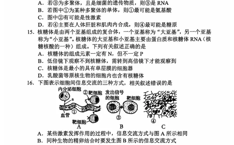 高一生物学_2024年11月试卷_1119天津市五区县重点校联考2024-2025学年高一上学期11月期中考试_天津市五区县重点校联考2024-2025学年高一上学期11月期中生物试题_高一生物