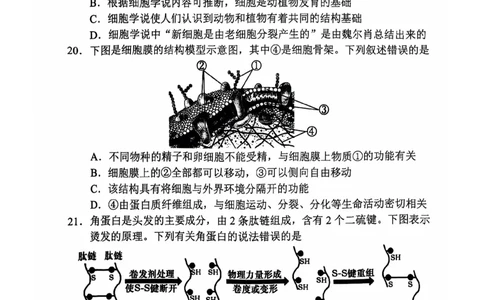 高一生物学_2024年11月试卷_1119天津市五区县重点校联考2024-2025学年高一上学期11月期中考试_天津市五区县重点校联考2024-2025学年高一上学期11月期中生物试题_高一生物