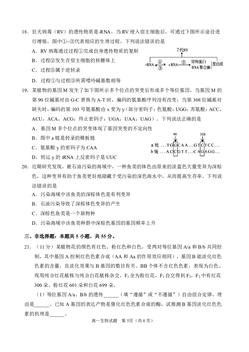 高一生物试题定稿6.22_2024年08月试卷_0815山东省威海市2023-2024学年高一学期期末考试_山东省威海市2023-2024学年高一下学期期末考试生物试题