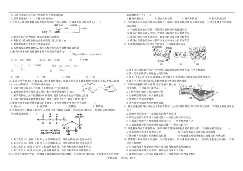 高一生物期中考试2025级（考试版）_2025年12月高一试卷_251208黑龙江省哈尔滨市师范大学附属中学2025-2026学年高一上学期期中考试（全）