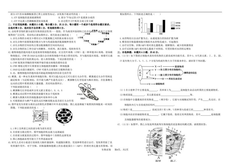 高一生物期中考试2025级（考试版）_2025年12月高一试卷_251208黑龙江省哈尔滨市师范大学附属中学2025-2026学年高一上学期期中考试（全）