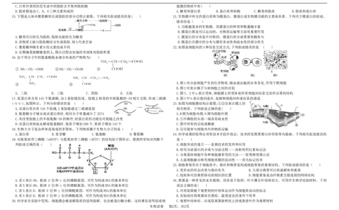 高一生物期中考试2025级（考试版）_2025年12月高一试卷_251208黑龙江省哈尔滨市师范大学附属中学2025-2026学年高一上学期期中考试（全）