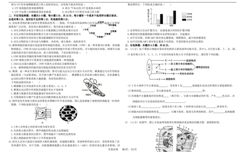 高一生物期中考试2025级（考试版）_2025年12月高一试卷_251208黑龙江省哈尔滨市师范大学附属中学2025-2026学年高一上学期期中考试（全）