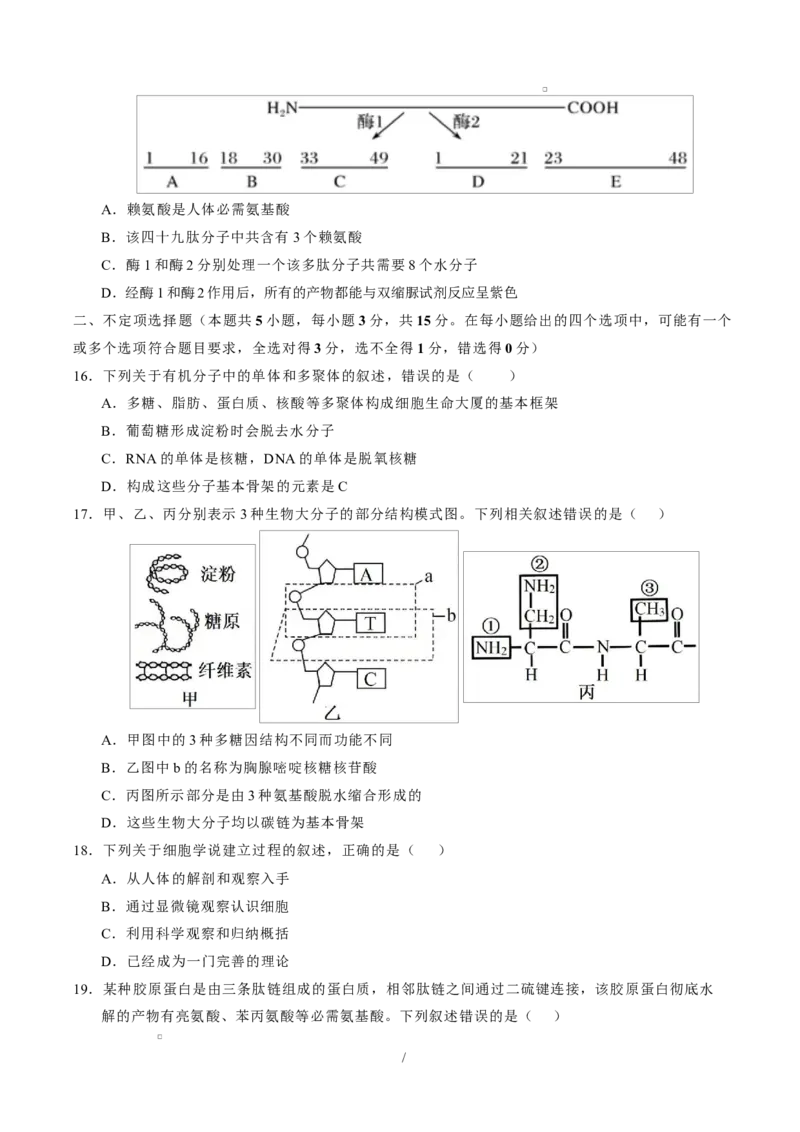 高一生物上学期第一次月考测试范围：必修1第1章~第2章（考试版）（黑吉辽蒙专用）_2025年10月高一试卷_2510032025-2026学年高一生物上学期第一次月考