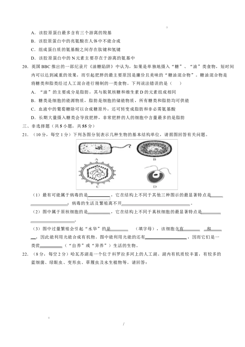 高一生物上学期第一次月考测试范围：必修1第1章~第2章（考试版）（黑吉辽蒙专用）_2025年10月高一试卷_2510032025-2026学年高一生物上学期第一次月考