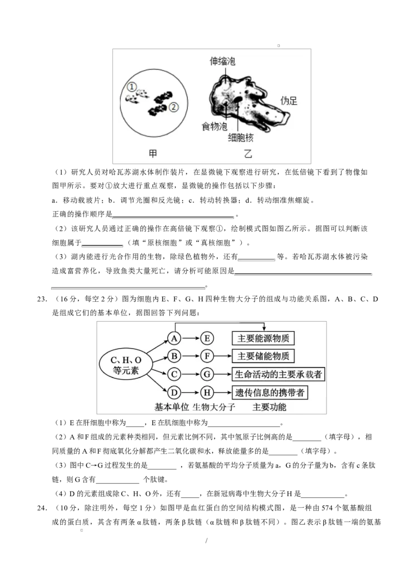 高一生物上学期第一次月考测试范围：必修1第1章~第2章（考试版）（黑吉辽蒙专用）_2025年10月高一试卷_2510032025-2026学年高一生物上学期第一次月考