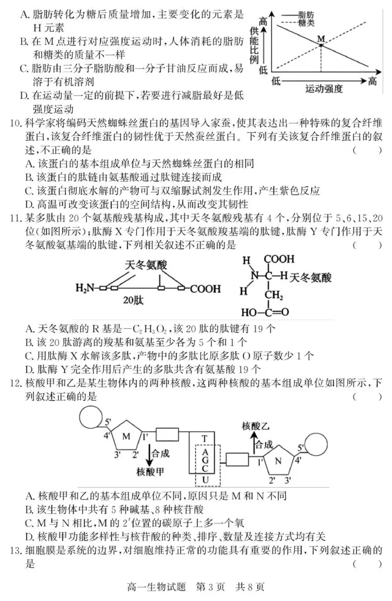 （教研室提供）山东省济宁市兖州区2025-2026学年高一上学期期中生物试题_2025年12月高一试卷_251221山东省济宁市兖州区2025-2026学年高一上学期期中（全）