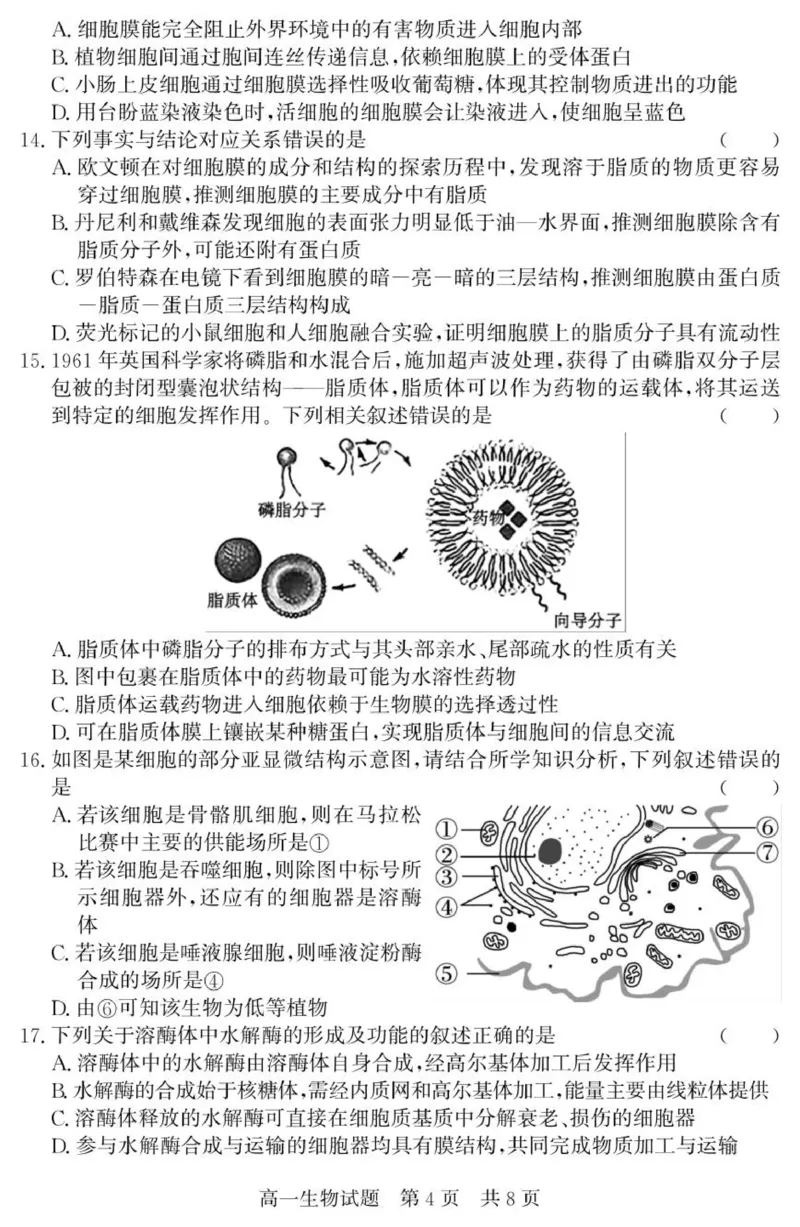 （教研室提供）山东省济宁市兖州区2025-2026学年高一上学期期中生物试题_2025年12月高一试卷_251221山东省济宁市兖州区2025-2026学年高一上学期期中（全）