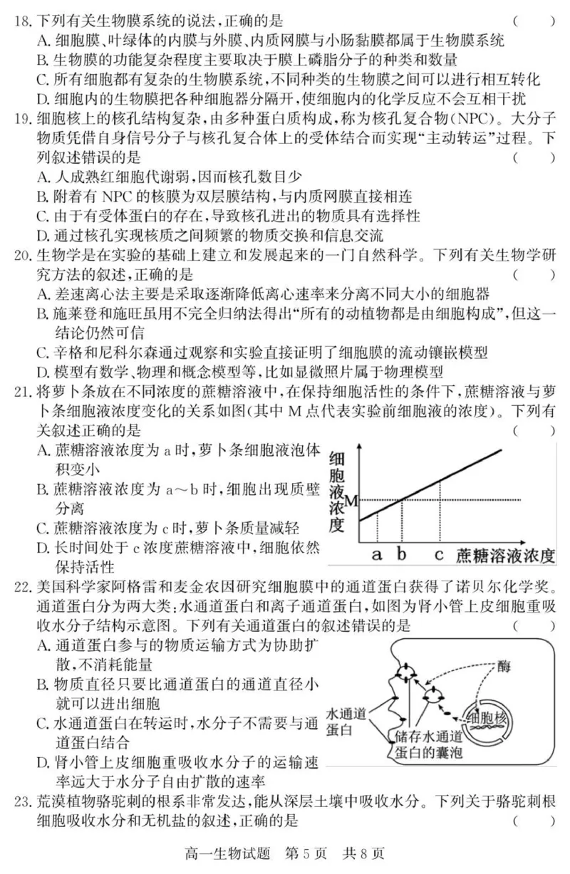 （教研室提供）山东省济宁市兖州区2025-2026学年高一上学期期中生物试题_2025年12月高一试卷_251221山东省济宁市兖州区2025-2026学年高一上学期期中（全）