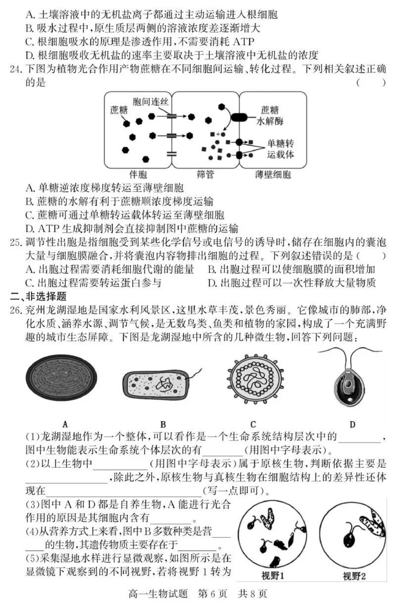 （教研室提供）山东省济宁市兖州区2025-2026学年高一上学期期中生物试题_2025年12月高一试卷_251221山东省济宁市兖州区2025-2026学年高一上学期期中（全）