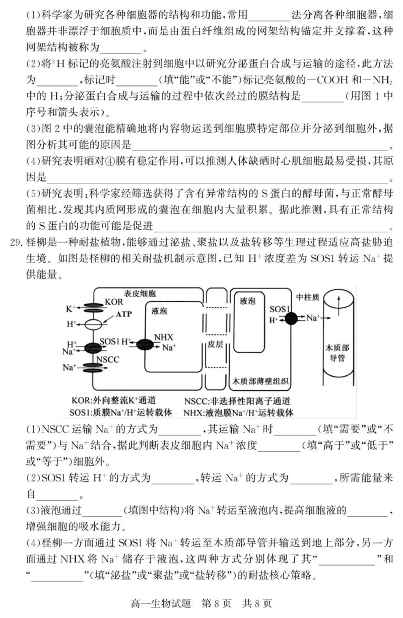 （教研室提供）山东省济宁市兖州区2025-2026学年高一上学期期中生物试题_2025年12月高一试卷_251221山东省济宁市兖州区2025-2026学年高一上学期期中（全）
