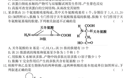 （教研室提供）山东省济宁市兖州区2025-2026学年高一上学期期中生物试题_2025年12月高一试卷_251221山东省济宁市兖州区2025-2026学年高一上学期期中（全）