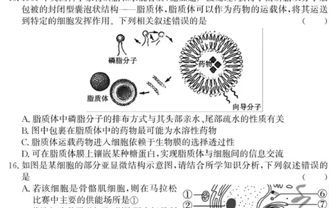 （教研室提供）山东省济宁市兖州区2025-2026学年高一上学期期中生物试题_2025年12月高一试卷_251221山东省济宁市兖州区2025-2026学年高一上学期期中（全）