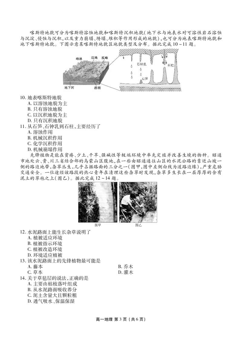 高一期末质量监测地理正文_2026年02月高一试卷_260203辽宁省点石联考2028届高一期末质量监测（全）