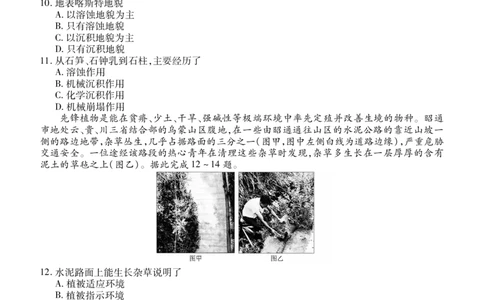 高一期末质量监测地理正文_2026年02月高一试卷_260203辽宁省点石联考2028届高一期末质量监测（全）