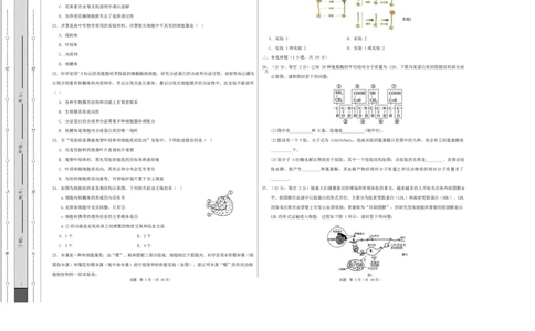 高一生物上学期第一次月考（浙江专用，浙科版2019）测试范围：浙科版2019必修1第1章~第2章（考试版A3）_2025年10月高一试卷_2510032025-2026学年高一生物上学期第一次月考