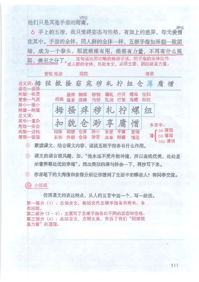 2026春小学5年级下册语文课堂笔记_2026春小学教辅大合集_3-26春《课堂笔记》系列_小学语文《课堂笔记》1-6年级下册（26春）(2)_《课堂笔记》1-6年级下册（26春）