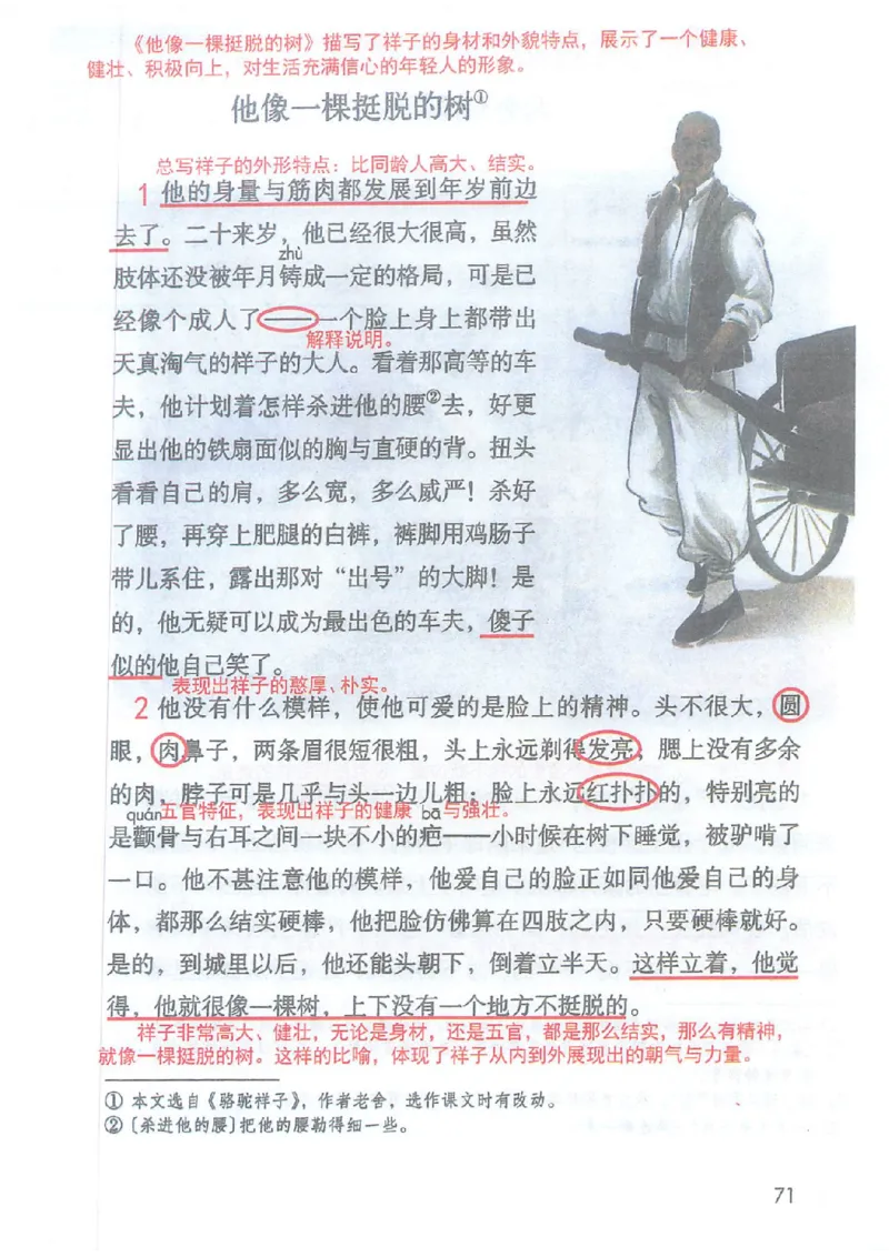 2026春小学5年级下册语文课堂笔记_2026春小学教辅大合集_3-26春《课堂笔记》系列_小学语文《课堂笔记》1-6年级下册（26春）(2)_《课堂笔记》1-6年级下册（26春）