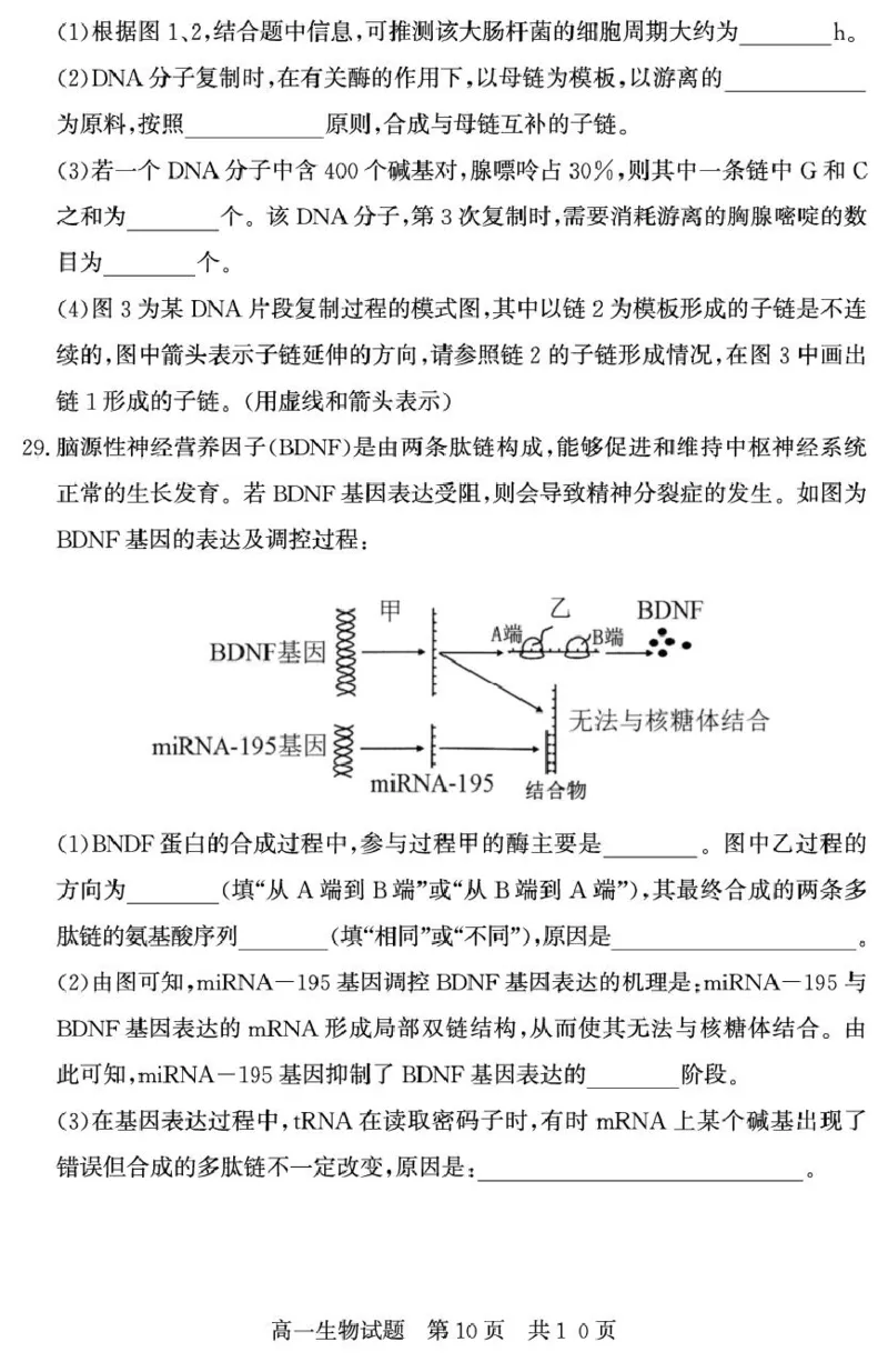 （教研室提供）山东省济宁市兖州区2024-2025学年高一下学期期中考试生物试题_2025年05月试卷_0529山东省济宁市兖州区2024-2025学年高一下学期期中考试