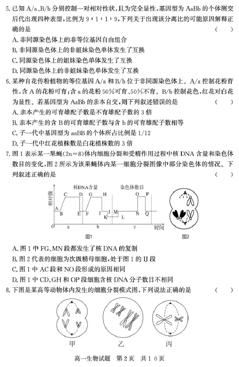 （教研室提供）山东省济宁市兖州区2024-2025学年高一下学期期中考试生物试题_2025年05月试卷_0529山东省济宁市兖州区2024-2025学年高一下学期期中考试