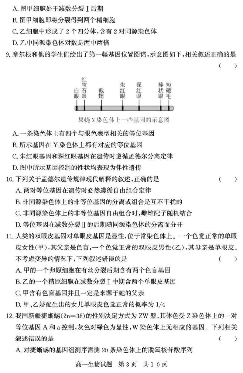 （教研室提供）山东省济宁市兖州区2024-2025学年高一下学期期中考试生物试题_2025年05月试卷_0529山东省济宁市兖州区2024-2025学年高一下学期期中考试