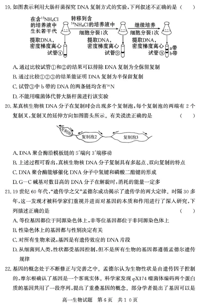 （教研室提供）山东省济宁市兖州区2024-2025学年高一下学期期中考试生物试题_2025年05月试卷_0529山东省济宁市兖州区2024-2025学年高一下学期期中考试