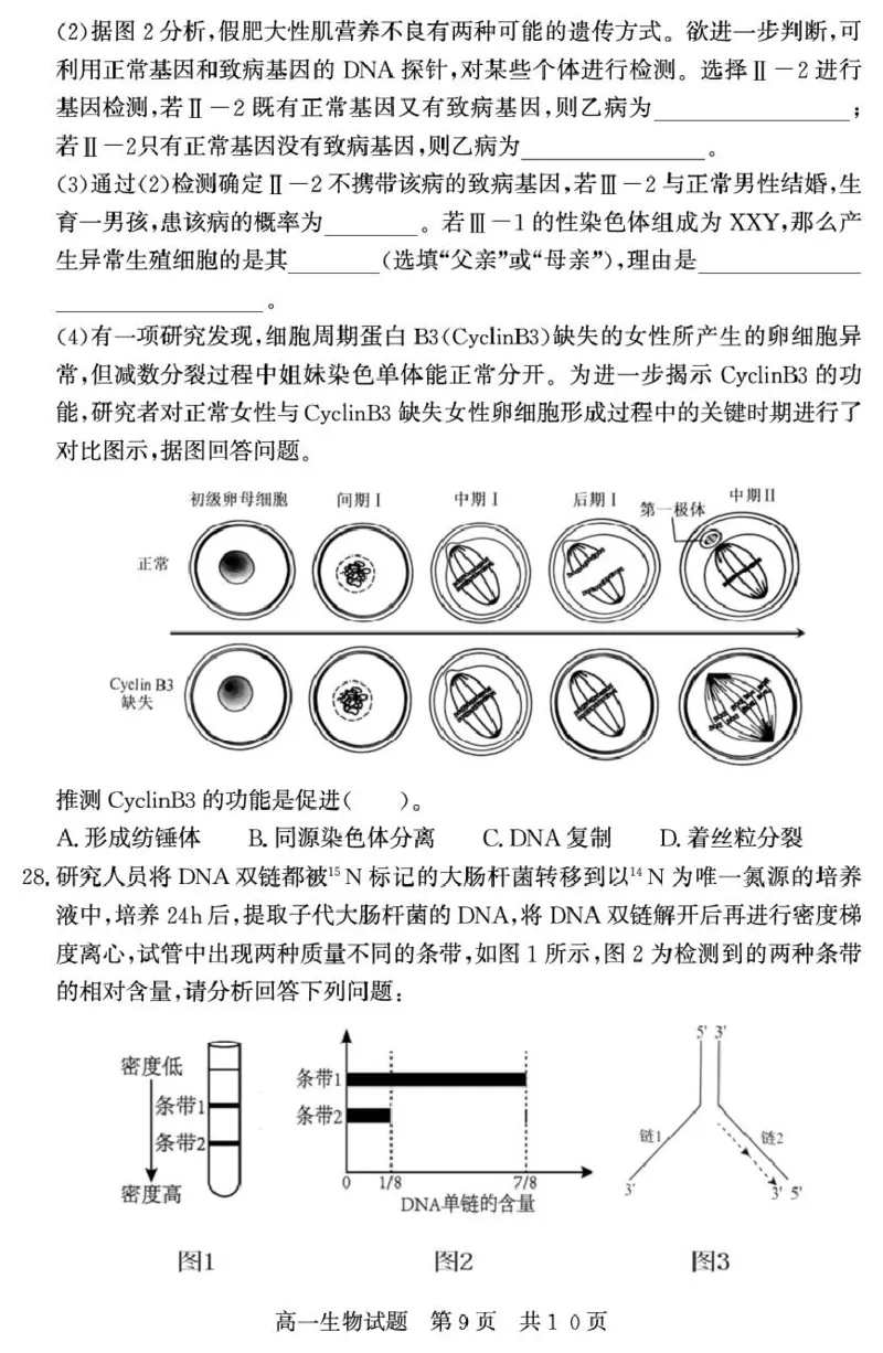 （教研室提供）山东省济宁市兖州区2024-2025学年高一下学期期中考试生物试题_2025年05月试卷_0529山东省济宁市兖州区2024-2025学年高一下学期期中考试