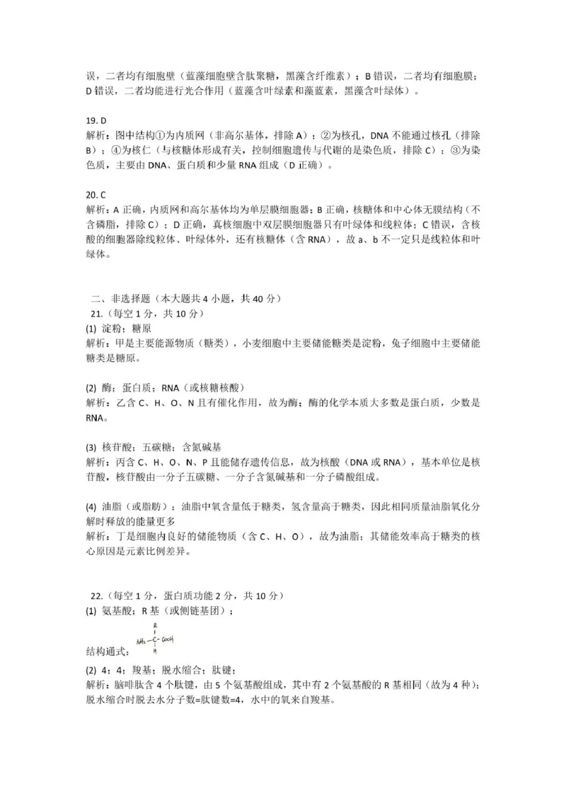 高一生物答案_2025年11月高一试卷_251128浙江省S9联盟2025-2026学年高一上学期11月期中考试（全）_浙江省S9联盟2025-2026学年高一上学期期中联考生物试题（扫描版，有答案）