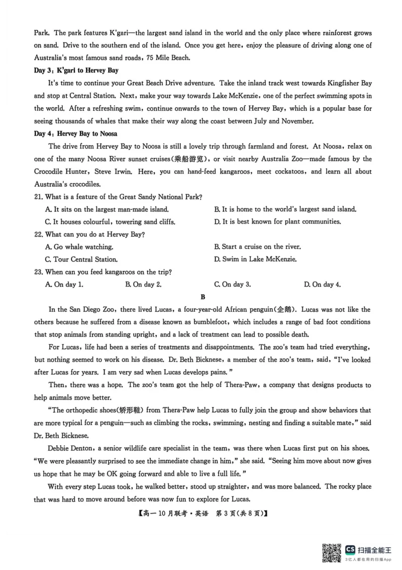 高一英语2025-10-1513.36_2025年10月高一试卷_251019河南洛阳强基联盟2025-2026学年高一上学期10月联考（全）_河南洛阳强基联盟2025-2026学年高一上学期10月联考英语试题含答案