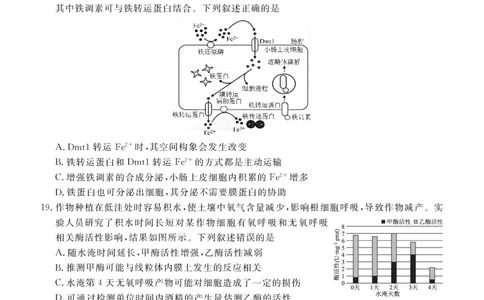 高一期末质量监测生物正文_2026年02月高一试卷_260203辽宁省点石联考2028届高一期末质量监测（全）