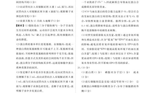 高一生物答案（2025-2026学年度11月份联考）_2025年11月高一试卷_251122广东衡水金卷&middot;2025-2026学年度高一上学期11月份联考（全）