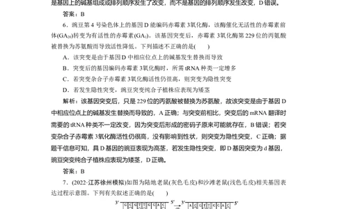 高中生物一轮复习专题训练：第20讲基因突变与基因重组（word含解析）_新高考复习资料_2023年新高考复习资料_一轮复习_名师精选2023届新高考生物一轮复习专题训练卷(word版含解析）