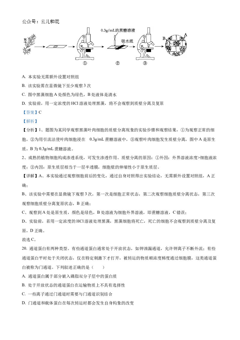 黑龙江省哈尔滨市香坊区哈尔滨市第九中学校2024-2025学年高一上学期12月月考生物试题Word版含解析_2025年01月试卷_0109黑龙江省哈尔滨市第九中学2024-2025学年高一上学期12月月考试题