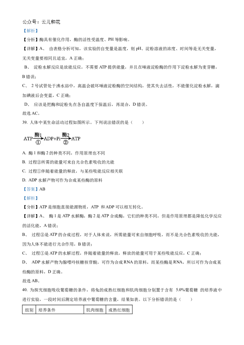 黑龙江省哈尔滨市香坊区哈尔滨市第九中学校2024-2025学年高一上学期12月月考生物试题Word版含解析_2025年01月试卷_0109黑龙江省哈尔滨市第九中学2024-2025学年高一上学期12月月考试题